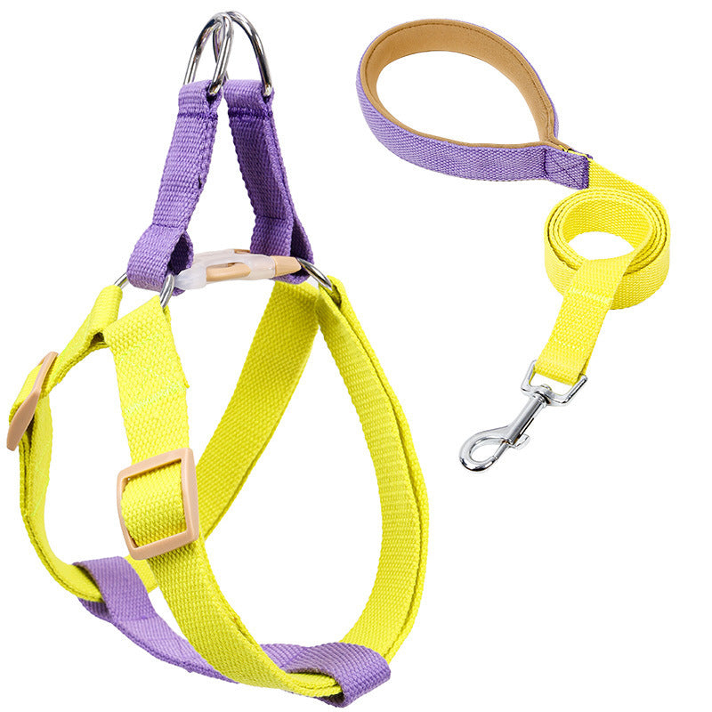 Color Pet Drawstring Leash: The Ultimate Companion for Your Furry Friend